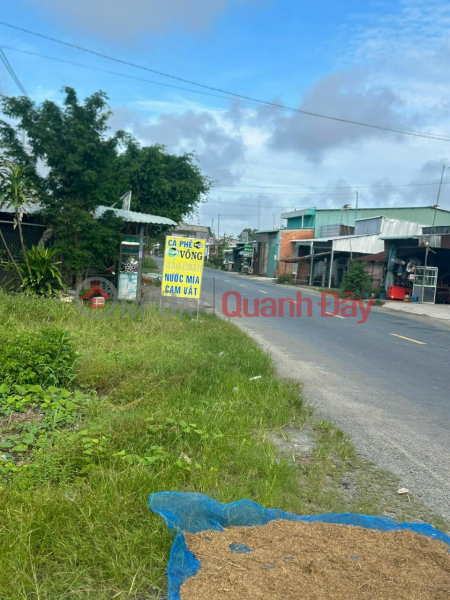 BEAUTIFUL LAND - GOOD PRICE - Owner Needs to Quickly Sell Garden Plot in Binh Giang Commune, Hon Dat, Kien Giang. Sales Listings