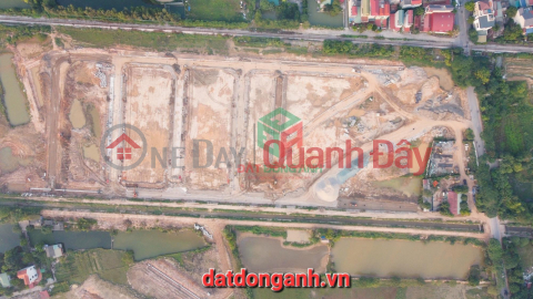 Tay Dan Di Uy No Dong Anh land auction (849-3564134476)_0