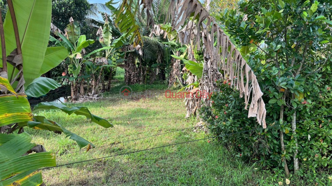 đ 800 Million | Land owned by the owner - good price. Location: Hoa Lac C, Luong Hoa A, Chau Thanh, Tra Vinh.