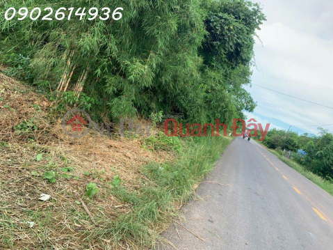 Land for sale on Lo Ren Street, Long Hoa, 24 billion VND, 8000m2, beautiful view. Hot! _0