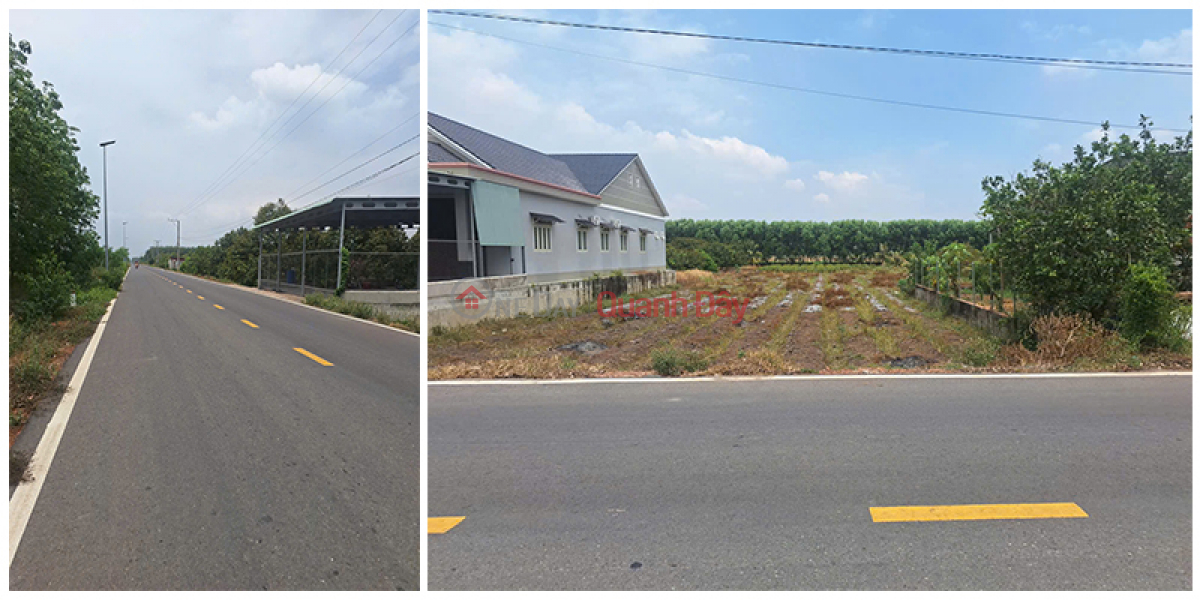 OWNER URGENTLY SELLING LARGE PLOT OF PAVED LAND INCLUDING TAXES AND FEES IN LONG CHU CENTER - BEN CAU - TAY NINH Sales Listings