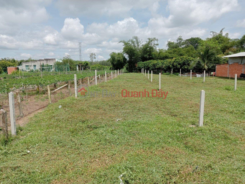 đ 780 Million BEAUTIFUL LAND - GOOD PRICE - For Sale 2 Land Lots Prime Location In Duong Minh Chau District, Tay Ninh