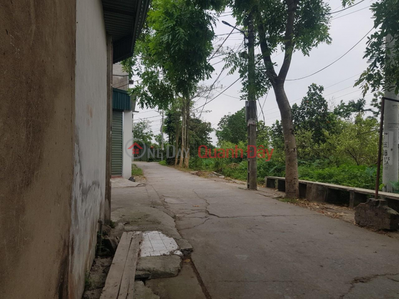 The owner offers to sell 55m2 of land on the edge of the village, Duong Yen village, Xuan Non, Dong Anh, Hanoi Sales Listings
