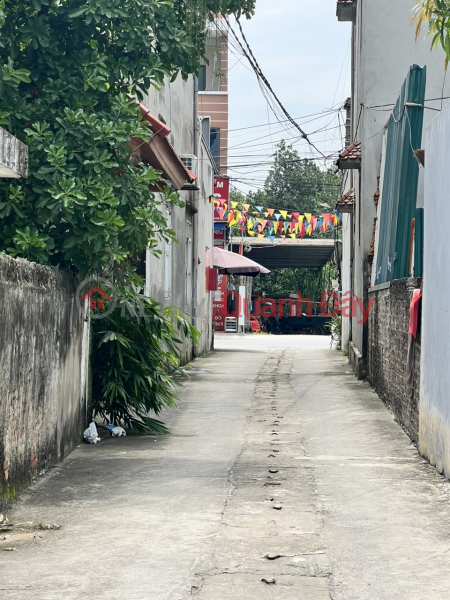 Property Search Vietnam | OneDay | Residential Sales Listings, Owner sends for sale 62 m front 5 rear 5 in Dai Yen inner village, only 30 m from provincial road 419, immense amenities.