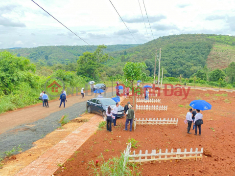 ĐẤT ĐẸP - GIÁ TỐT - Cần Bán Lô Đất Vị Trí Đắc Địa Xã Thống Nhất, Bù Đăng, Bình Phước _0