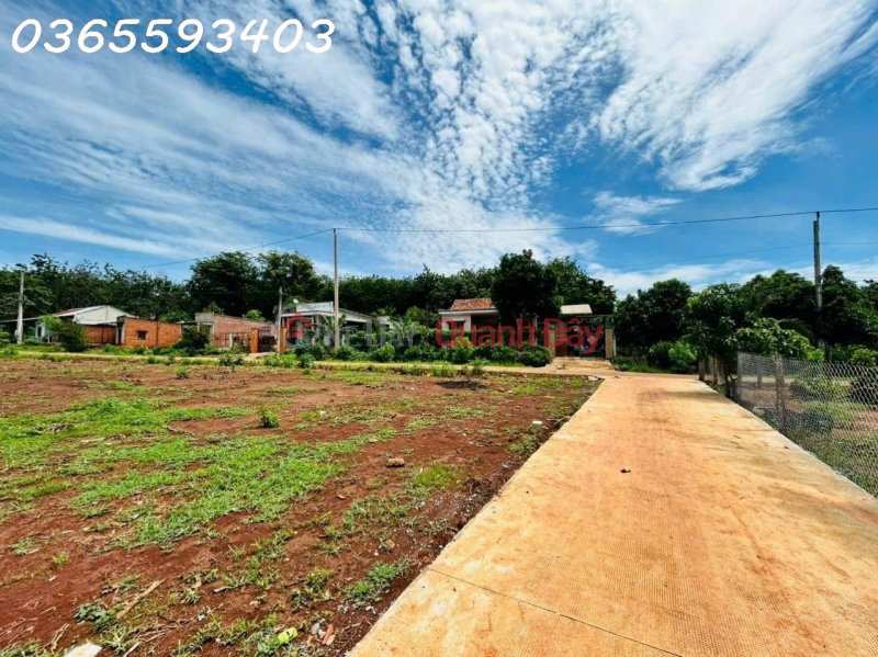 Property Search Vietnam | OneDay | Residential Sales Listings | For sale 250m2 of rural land in Tan Hung, Hon Quan, Binh Phuoc, price 260 million