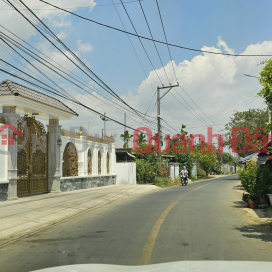 Selling 254m2 of land in front of Binh Luc Long Phu, Tan Binh commune, private residential book only 3ty650 _0