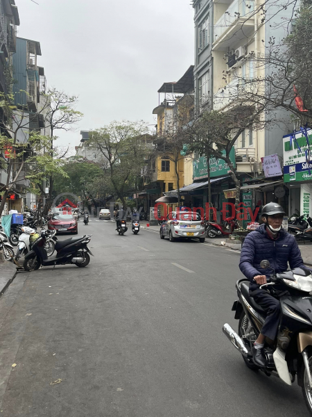 Property Search Vietnam | OneDay | Residential | Sales Listings | House for sale on Chau Long Street, 5.5m frontage, 102m2 area, very cheap price 43 million extremely rare beauty books
