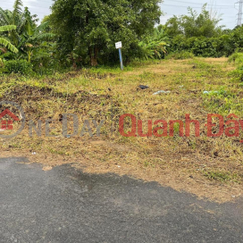 BEAUTIFUL LAND - GOOD PRICE - FULL RESIDENTIAL Land Lot For Sale In Thanh Duc - Ben Luc - Long An _0