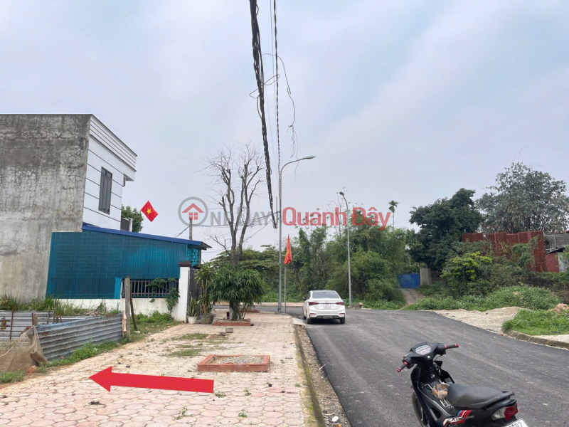 Property Search Vietnam | OneDay | Residential, Sales Listings, Selling a 150m2 (6x25) plot of land with full residential zoning in the Tan Tien Resettlement Area - Bach Quang - Thai Nguyen.
