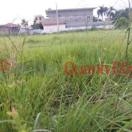 Land for sale in Dong Hung district, area 210m2, price only about 1.9 billion _0