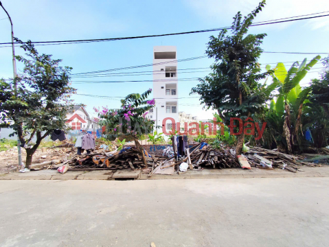 Land for sale in area 4 Vinh Niem, line 3 next to VinMec, area 100m2, PRICE 55 million\/m2 _0