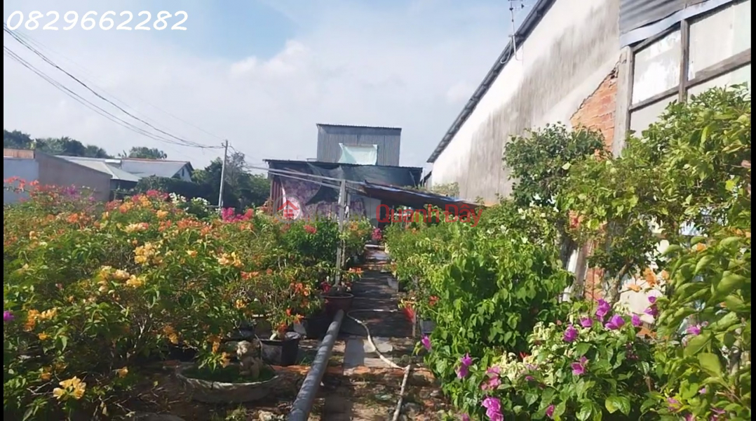 đ 3,5 tỷ | Bán Đất Thổ Cư Mặt Tiền Chính Đường Làng Hoa Sa Đéc, 200m2, SHR, Giá 3.5 Tỷ