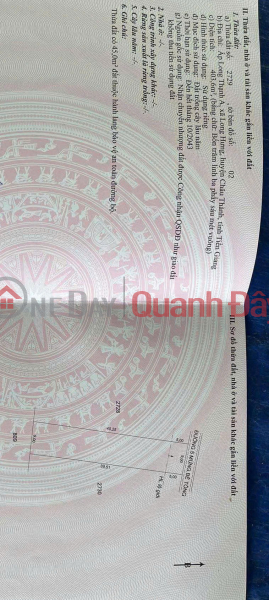 Property Search Vietnam | OneDay | Residential | Sales Listings | BEAUTIFUL LAND - GOOD PRICE - OWNER FOR SALE At Long Hung, Chau Thanh, Tien Giang