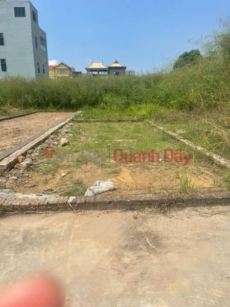Property Search Vietnam | OneDay | Residential | Sales Listings | Beautiful land in Ấp Tre village (Group 9, Quang Minh),Mê Linh. Square plot, wide frontage, grid-patterned road network.