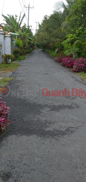 The owner urgently needs to sell the house with asphalt frontage in Hau My Phu, Cai Be, Tien Giang Vietnam | Sales ₫ 3.9 Billion