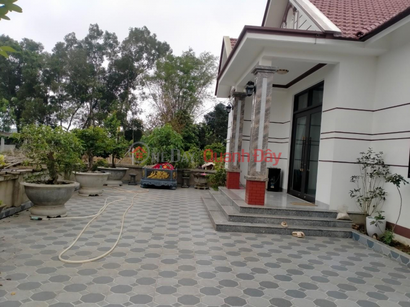 BEAUTIFUL LAND - GOOD PRICE - Owner Needs to Sell Land Lot with Beautiful Location in Dinh Hai, Yen Dinh, Thanh Hoa Sales Listings