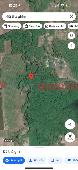 BEAUTIFUL LAND - GOOD PRICE - OWNER NEEDS TO SELL LAND LOT IN Tan Thang, Ham Tan, Binh Thuan, Vietnam, Sales đ 18.5 Billion