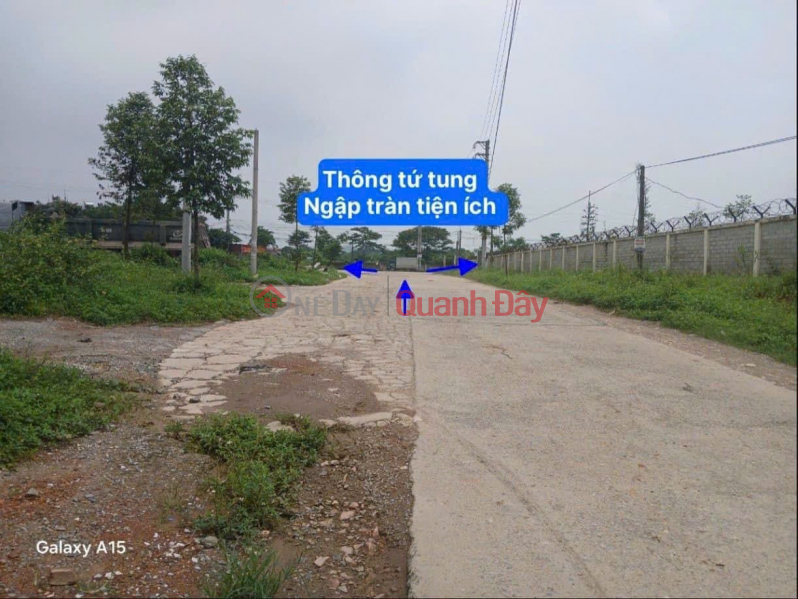 Property Search Vietnam | OneDay | Residential, Sales Listings | Consignment for sale of 238m2, car, investment in divided lots, Thuy Xuan Tien