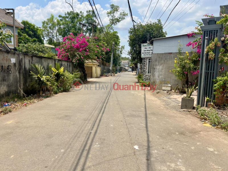 Property Search Vietnam | OneDay | Residential | Sales Listings | Beautiful Land - Good Price - For Quick Sale Land Front Lot at Ho Nai 3, Trang Bom.