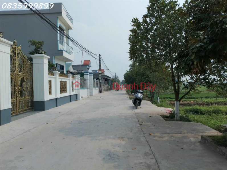 Property Search Vietnam | OneDay | Residential, Sales Listings | Owner needs to sell beautiful land lot in Chau Phong Phong - Dong Hung - Thai Binh