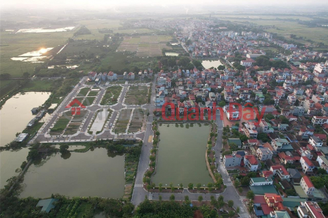 Auction of 44 plots of land X6 Ha Lo Village, Lien Ha, Dong Anh, City. Hanoi. _0