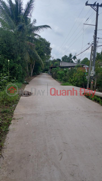 Owner Needs To Quickly Sell Land Plot At Nguyen Thanh Son, Long Hoa Ward, Binh Thuy District, Can Tho | Vietnam, Sales đ 1.05 Billion