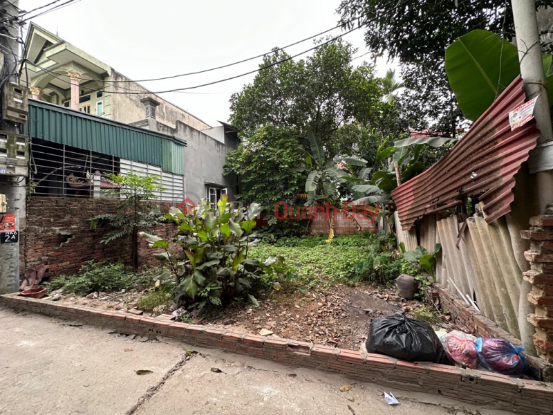 Only 2.65 billion to own a 49 meter plot of land at Dinh Trung - Xuan Non - Dong Anh Vietnam | Sales, đ 2.65 Billion