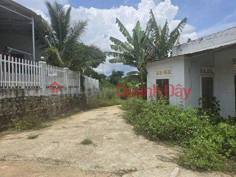 3880m2 land for sale in Ninh Gia, Duc Trong, Lam Dong, 3.9 billion VND. _0