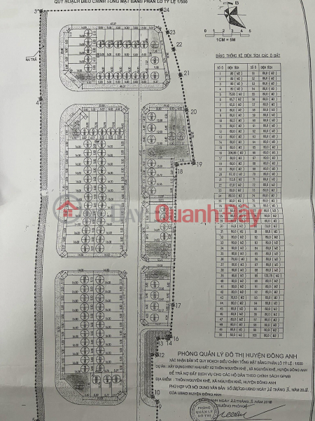 Land for sale at auction X2 Nguyen Khe Dong Anh - Corner lot near Cho Nhap Lap market Sales Listings