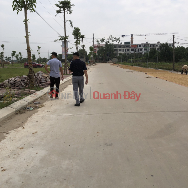 Land for sale at auction in Bach Da, Kim Hoa, Me Linh, Hanoi, beautiful land location, wide road, very good traffic connection Sales Listings