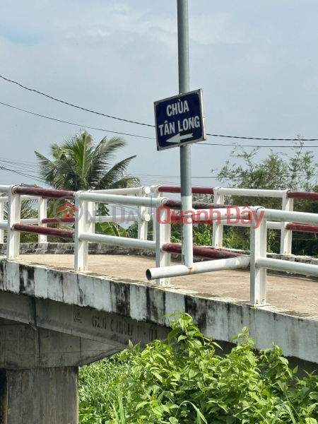 đ 1,3 tỷ Chính Chủ 179m2 Đất Tại Ấp 2, Xã Hữu Thạnh, Huyện Đức Hoà, Long An. Full Thổ Cư.