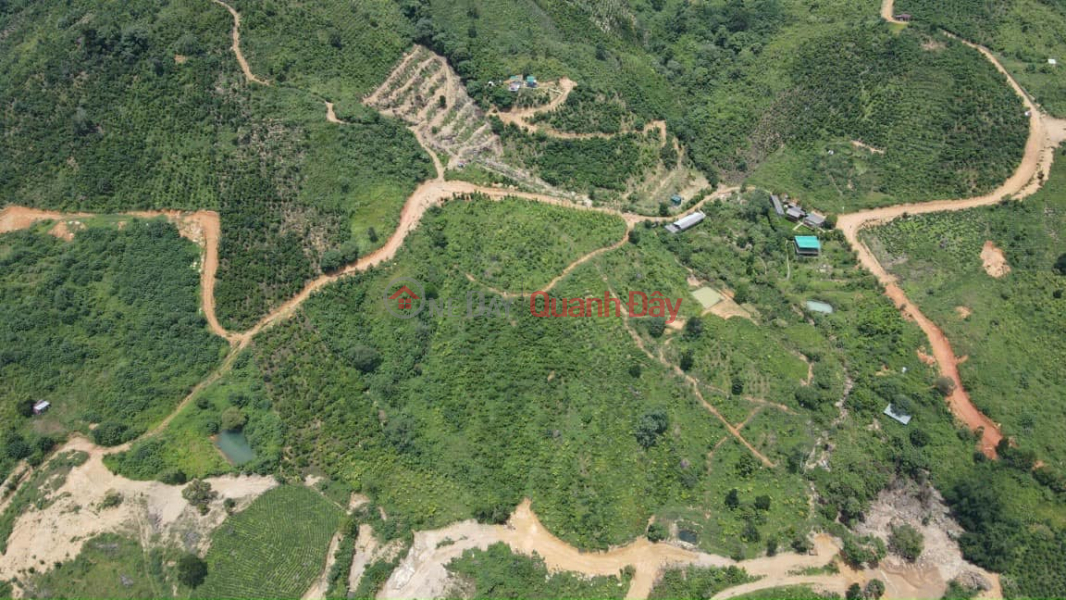 Property Search Vietnam | OneDay | , Sales Listings Land view Dai Binh mountain