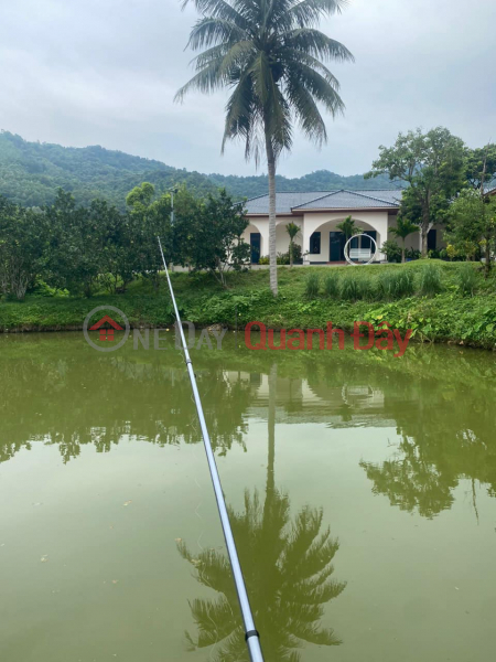 Property Search Vietnam | OneDay | Residential | Sales Listings Land for sale with Garden House in Ngoc Thanh, Phuc Yen, Vinh Phuc