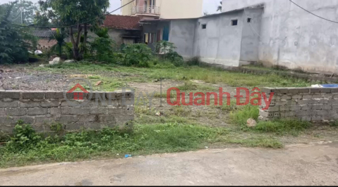 OWNER NEEDS TO SELL 300M2 LAND LOT IN TAN TIEN-CHUONG MY-HANOI _0