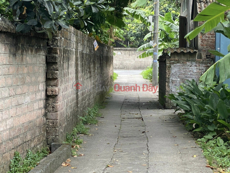 Need to sell land 33.2m2 quickly, only 1.x billion, An Thang, Bien Giang, Ha Dong, Hanoi, car, alley Vietnam, Sales đ 1.55 Billion