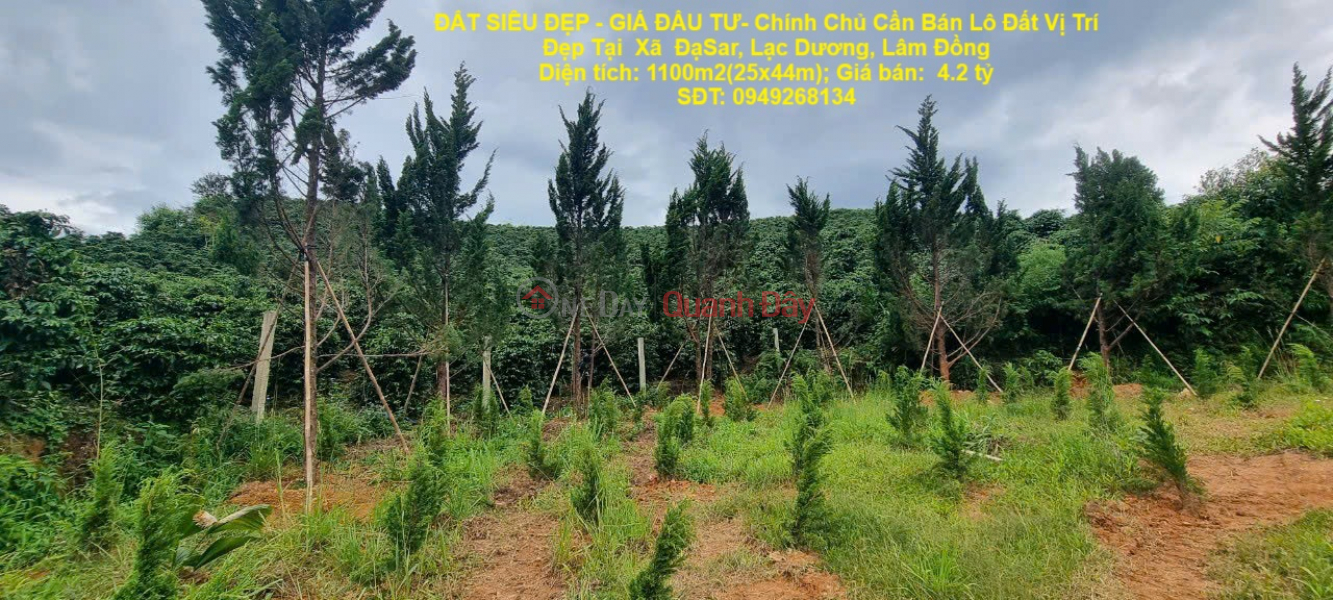 ĐẤT SIÊU ĐẸP - GIÁ ĐẦU TƯ- Chính Chủ Cần Bán Lô Đất Vị Trí Đẹp Tại Xã ĐạSar, Lạc Dương, Lâm Đồng Niêm yết bán