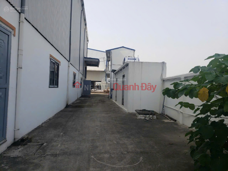 Warehouse and factory for sale in Dac So, Hoai Duc, Hanoi, area 1000m2, Selling price 17.9 million\\/m2. Sales Listings
