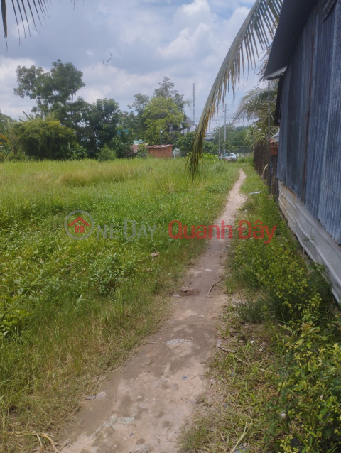 Owner Sells Land Lot, Nice Location At Box 6, Thanh Binh B Quarter, Go Dau Town, Go Dau District, Tay Ninh _0