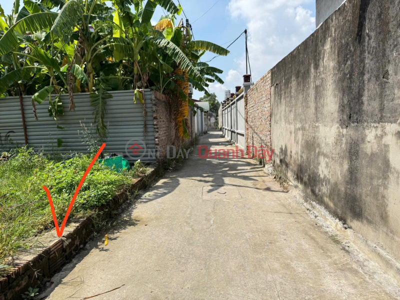 Property Search Vietnam | OneDay | Residential | Sales Listings Land for sale in Mai Dong village, Mai Dinh - Soc Son - 83m2 - 2.55 billion - Road with car parking