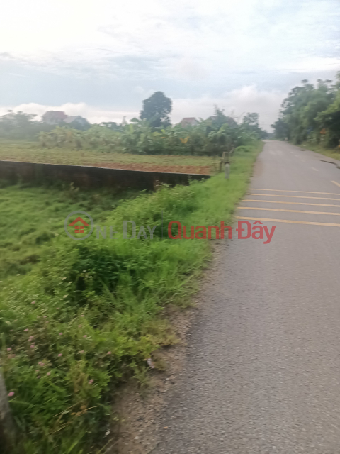 BEAUTIFUL LAND - GOOD PRICE - Land Lot For Sale Prime Location At, Xuan Hong Commune, Tho Xuan District, Thanh Hoa Province _0