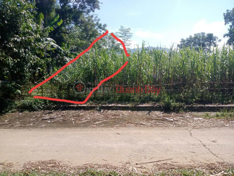 đ 168 Million HOT HOT - OWNER URGENTLY NEEDS TO SELL CHEAP LAND LOT in Dien Ha Commune, Ba Thuoc District, Thanh Hoa Province