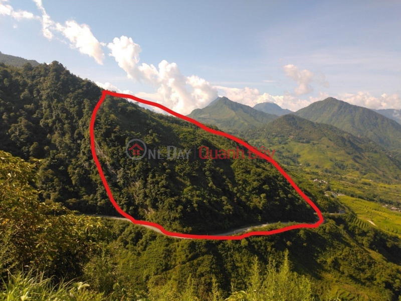 Property Search Vietnam | OneDay | Residential, Sales Listings DOUBLE ROAD LAND OF NEWLAND AREA - MINACH FIELD BEHIND THE HD PROVINCIAL HOSPITAL