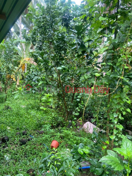 QUICK SALE OF Beautiful PRIME LOT OF LAND IN Thanh Phu Dong Commune, Giong Trom, Ben Tre | Vietnam, Sales | đ 2.15 Billion