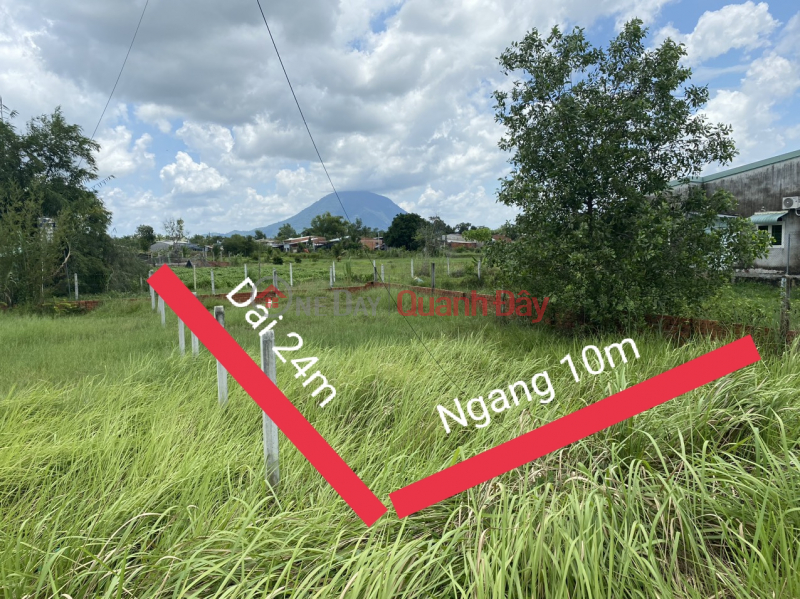 Property Search Vietnam | OneDay | Nhà ở Niêm yết bán, Chính công ty - Cần Bán MT mặt đường Sân Cu Long Thành Bắc 10x24m (240m2)