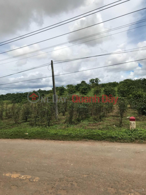 Land for sale, 2 frontages, National Highway 28B, Duc Trong, Lam Dong, 10 x 50m, (200)m2 TC, price 3.8 billion _0