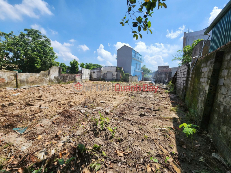 đ 1.28 Billion, Owner Needs to Sell a Plot of Land in Quynh Minh - Quynh Phu - Thai Binh (Now Minh Tho Commune, Hung Yen Province)