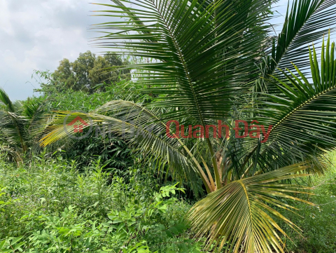 Owner selling 5,380m2 of land in Nghia Thanh, next to Sonadezi Suoi Nghe, price 8 billion VND, only 1.49 million VND\/m2. _0