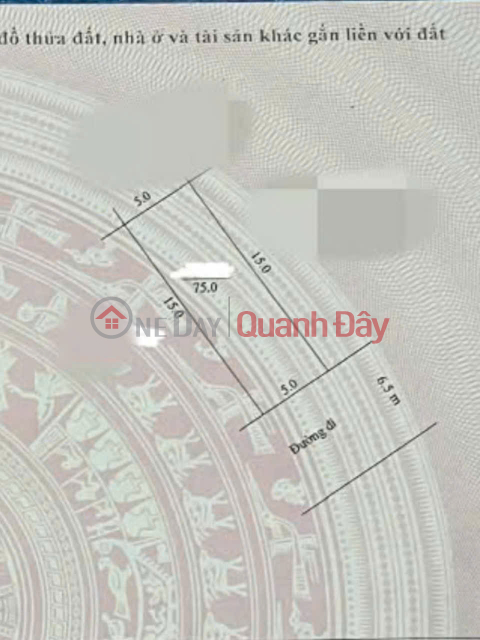Land auction in Quang Bi, Chuong My, Hanoi with area of 75m², best investment price _0