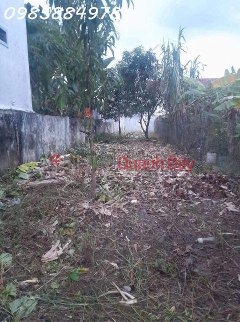 SELLING LAND FRONT LOT AT VINH TRUNG EDGE _0